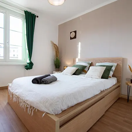La Roche Doree I Grand Appartement Centre Ville Brest Buitenkant foto