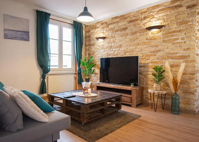 La Roche Doree I Grand Appartement Centre Ville